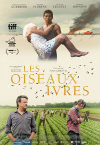 Affiche du film LES OISEAUX IVRES